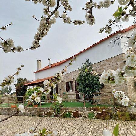 A Casa Do Soito Villa Oliveira do Hospital Bagian luar foto