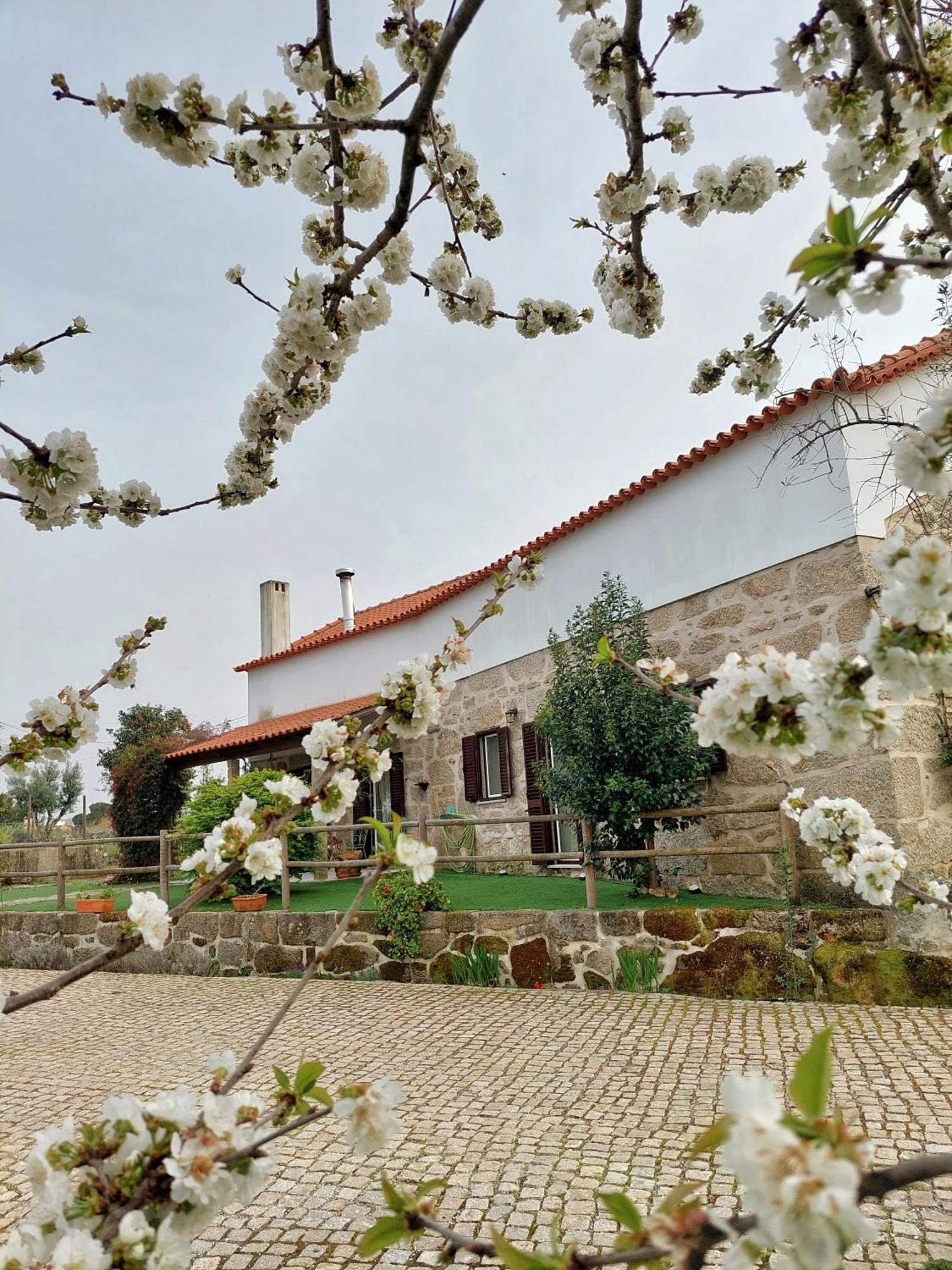 A Casa Do Soito Villa Oliveira do Hospital Bagian luar foto